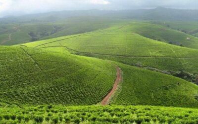TARABA STATE FARMERS’ WEATHER GUIDE
