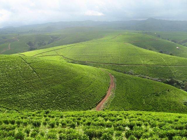 TARABA STATE FARMERS’ WEATHER GUIDE