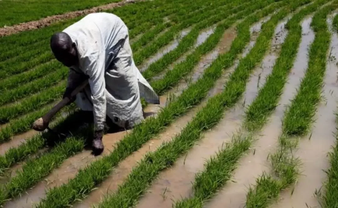 JIGAWA STATE FARMERS’ WEATHER GUIDE