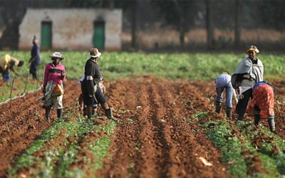 KATSINA STATE FARMERS’ WEATHER GUIDE