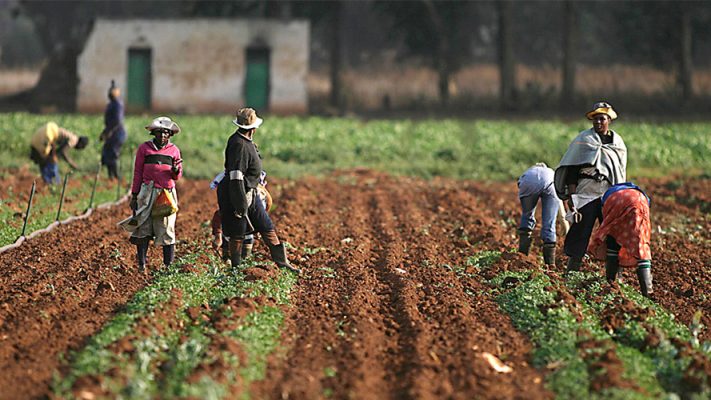 KATSINA STATE FARMERS’ WEATHER GUIDE