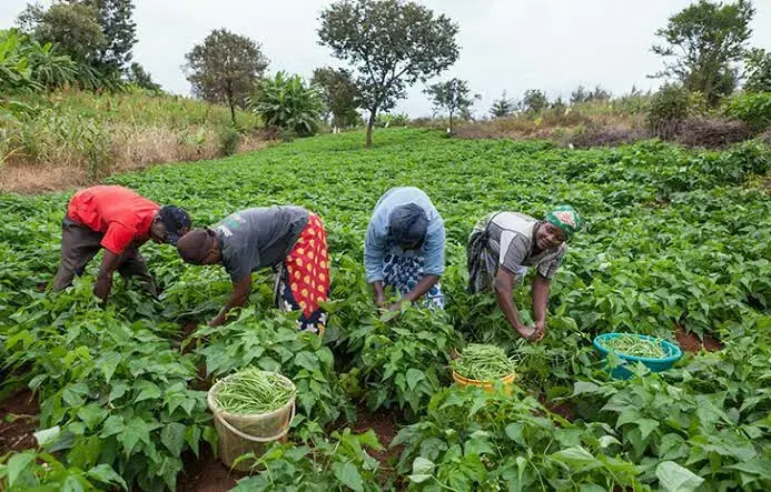 KEBBI STATE FARMERS’ WEATHER GUIDE